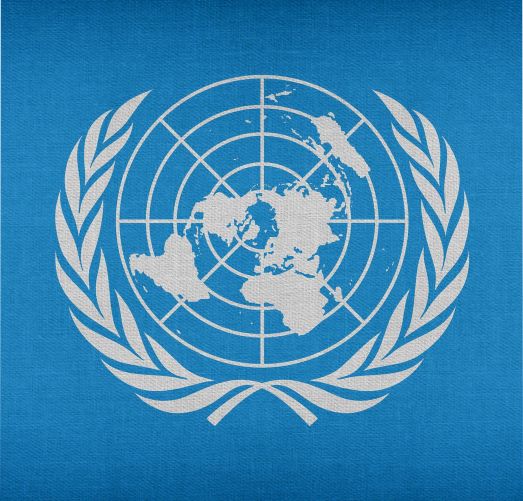 Представительство ООН в России 20 лет